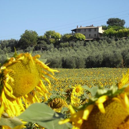 Agriturismo Oliveto Di Geltrude Contessa Leilighet Amelia Eksteriør bilde