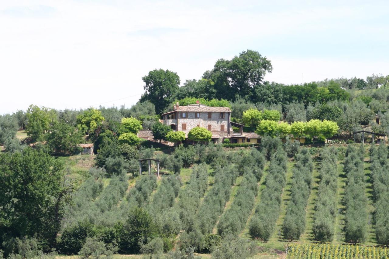 Agriturismo Oliveto Di Geltrude Contessa Leilighet Amelia Eksteriør bilde